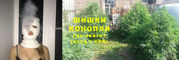 ГАЛЛЮЦИНОГЕННЫЕ ГРИБЫ Аркадак