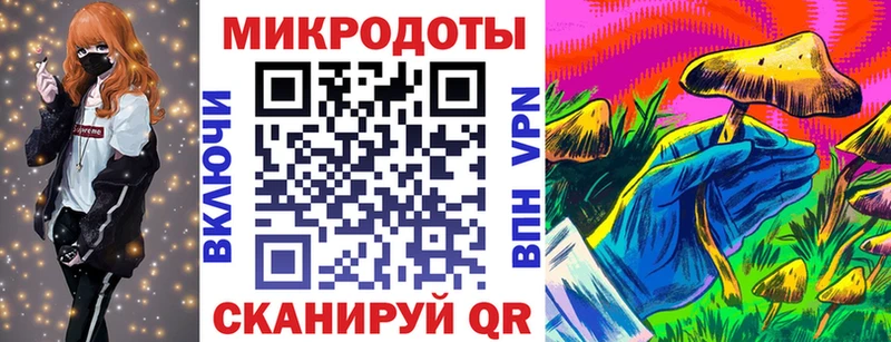 Галлюциногенные грибы Psilocybe Коряжма