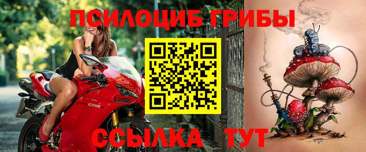 Галлюциногенные грибы ЛСД  Вход с VPN  Коряжма  Псилоцибиновые грибы ЛСД 