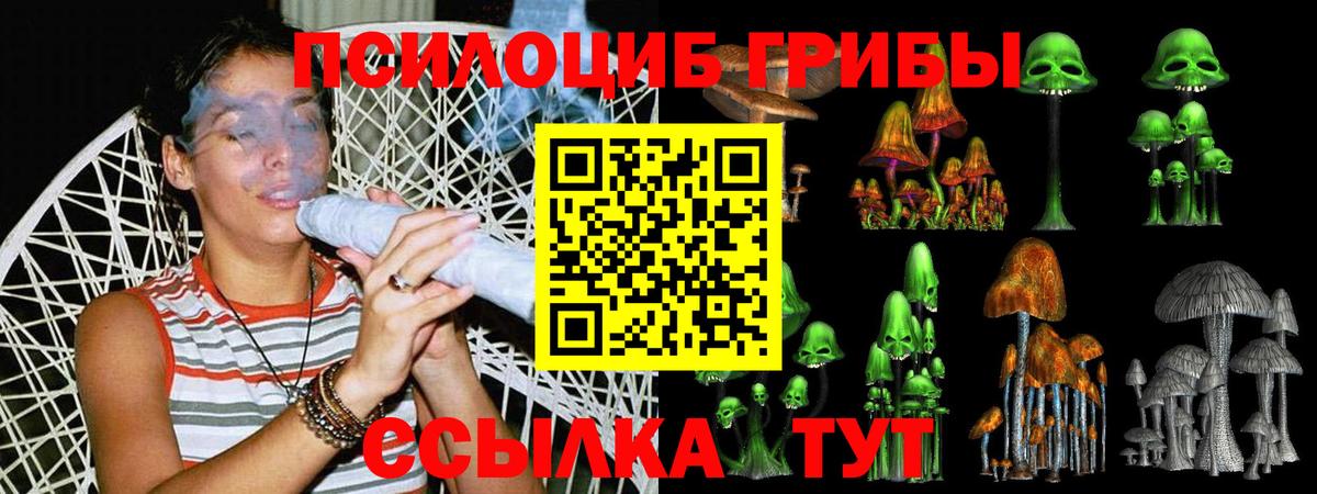 Галлюциногенные грибы MAGIC MUSHROOMS Коряжма